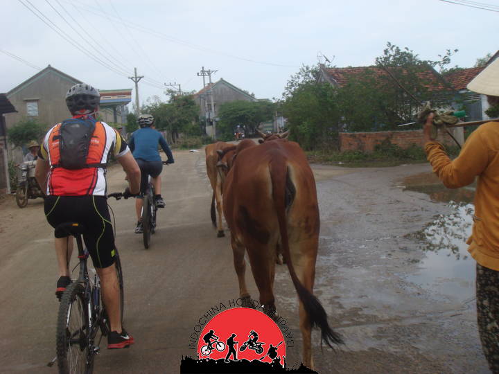 Angkor Temple Sunrise Cycle Tour – 1 day