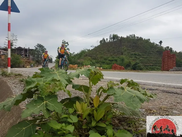 Hanoi - VanLong Nature Reserve - Cuc Phuong - Tam Coc Bike Tours - 2 Days 3