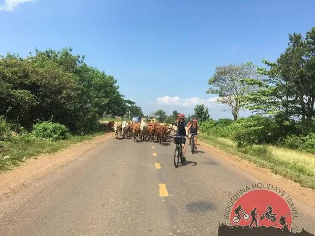 Hue Cycling To Hoi An – 1 Day 3