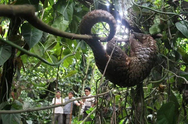 Phnom Kulen Trekking Tours - 1 Day 1