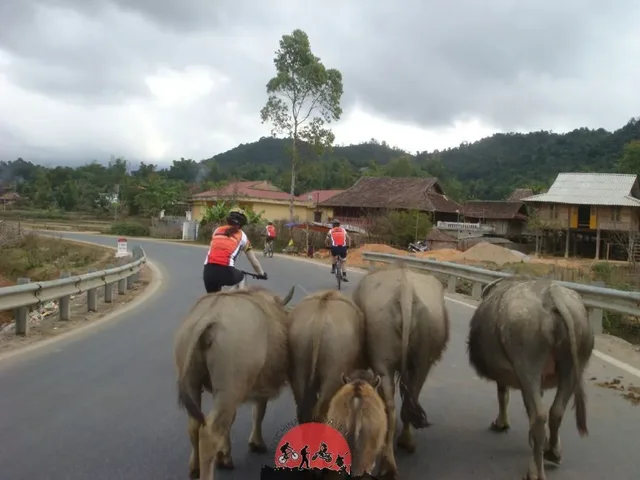 Phnom Penh Biking to Phnom Udong Mountain – 1 day 1