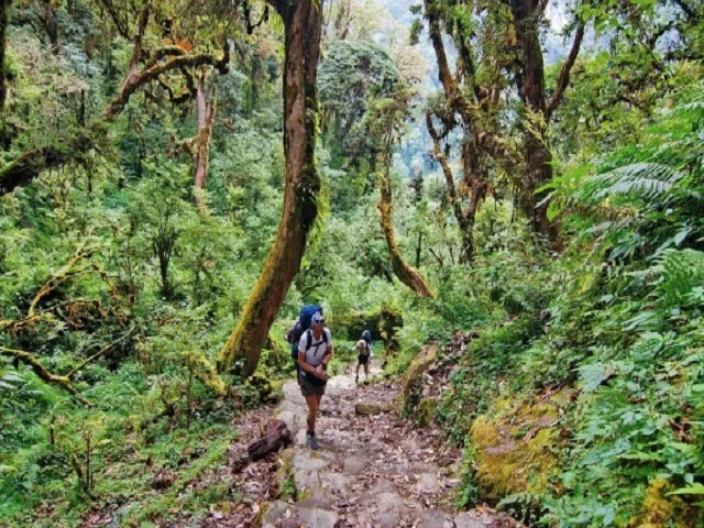 Siem Reap - Kulen Mountain Trek - 1 Day 2