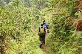 Siem Reap - Kulen Mountain Trek - 1 Day 3